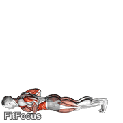 Inchworm GIF