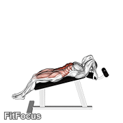 Incline Leg Hip Raise (leg Straight) GIF