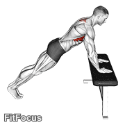 Incline Scapula Push Up GIF
