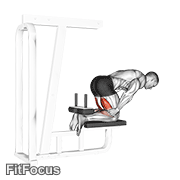 Inverse Leg Curl (bench Support) GIF