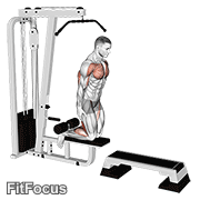 Inverse Leg Curl (on Pull-up Cable Machine) GIF