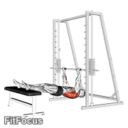Inverted Row On Bench GIF