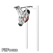 Inverted Row V. 2 GIF — animated back exercise demonstration