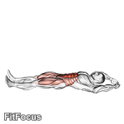 Jackknife Sit-up GIF
