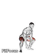 Jump Squat V. 2 GIF