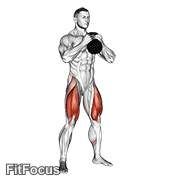 Kettlebell Goblet Squat GIF