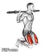 Kneeling Jump Squat GIF