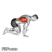 Kneeling Lat Stretch GIF