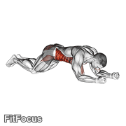 Kneeling Plank Tap Shoulder (male) GIF