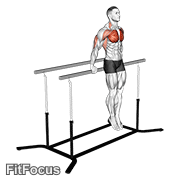 Korean Dips (korean dip) GIF — animated chest exercise demonstration