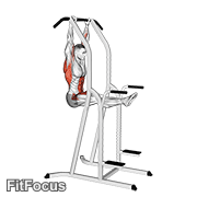 L-pull-up GIF