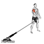 Landmine Lateral Raise GIF