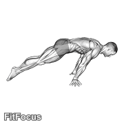 Lean Planche GIF