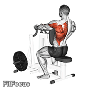 Lever Alternating Narrow Grip Seated Row GIF