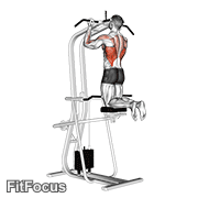 Lever Assisted Chin-up GIF