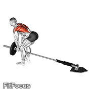 Lever Bent-over Row With V-bar GIF