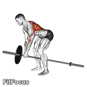Lever Bent Over Row GIF