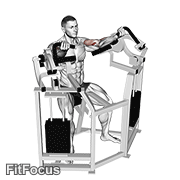 Lever Bicep Curl (machine bicep curl) GIF — animated arms exercise demonstration