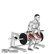 Lever Deadlift GIF
