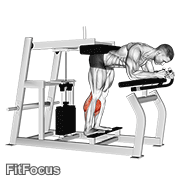 Lever Donkey Calf Raise GIF
