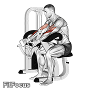 Lever Hammer Grip Preacher Curl GIF