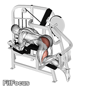 Lever Hip Extension V. 2 GIF