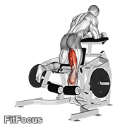 Lever Kneeling Leg Curl GIF