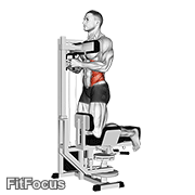 Lever Kneeling Twist GIF