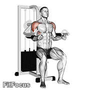 Lever Lateral Raise GIF