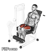 Lever Leg Extension GIF