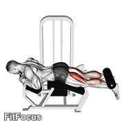 Lever Lying Leg Curl GIF