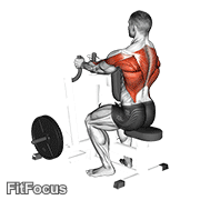 Lever Narrow Grip Seated Row GIF