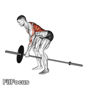 Lever One Arm Bent Over Row