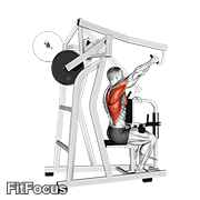 Lever One Arm Lateral High Row GIF