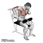 Lever Overhand Triceps Dip GIF