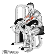 Lever Preacher Curl V. 2 GIF