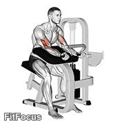 Lever Preacher Curl GIF