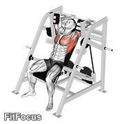 Lever Pullover (machine pullover) GIF — animated back exercise demonstration