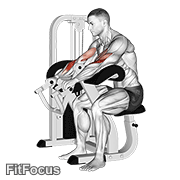 Lever Reverse Grip Preacher Curl GIF