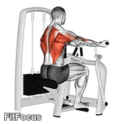 Lever Reverse Grip Vertical Row GIF