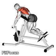 Lever Reverse T-bar Row GIF