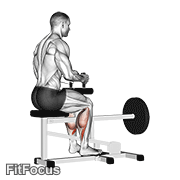 Lever Seated Calf Raise GIF