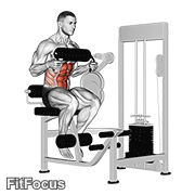 Lever Seated Crunch (chest Pad) GIF