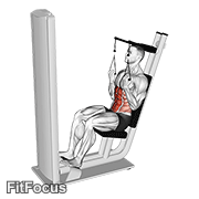 Lever Seated Crunch V. 2 GIF