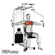 Lever Seated Fly GIF