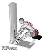 Lever Seated Good Morning GIF