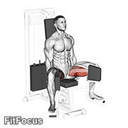 Lever Seated Hip Adduction GIF