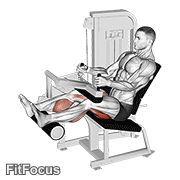 Lever Seated Leg Curl GIF