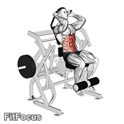 Lever Seated Leg Raise Crunch GIF