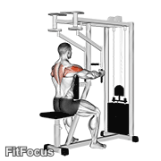 Lever Seated Reverse Fly (parallel Grip) GIF
